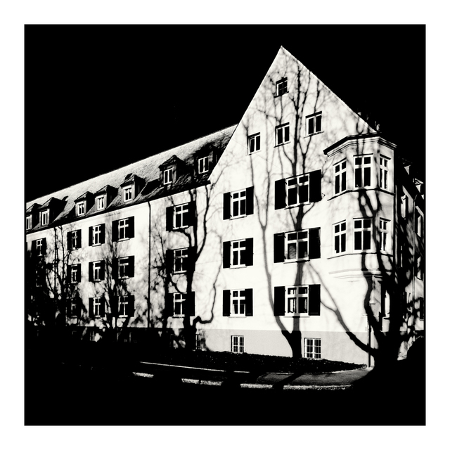 Shadow on the Wall - ID 003905