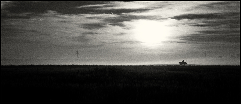 Sunset Riders - ID 003944