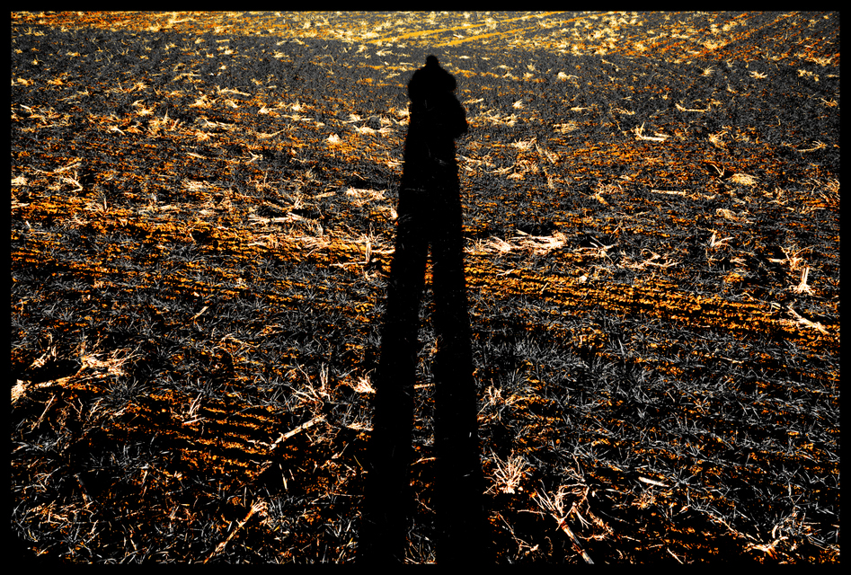 Winter Field - ID 003961