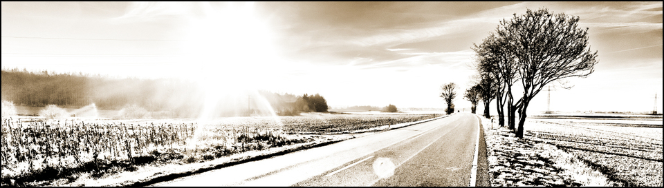 Street in Sun - ID 003968