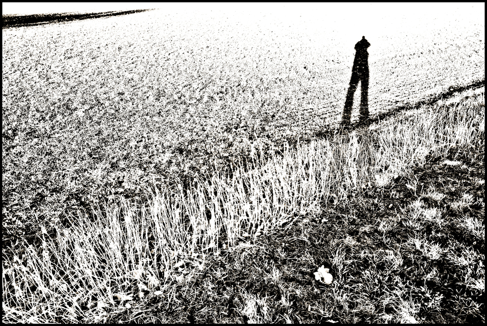 Self Shadow - ID 003969