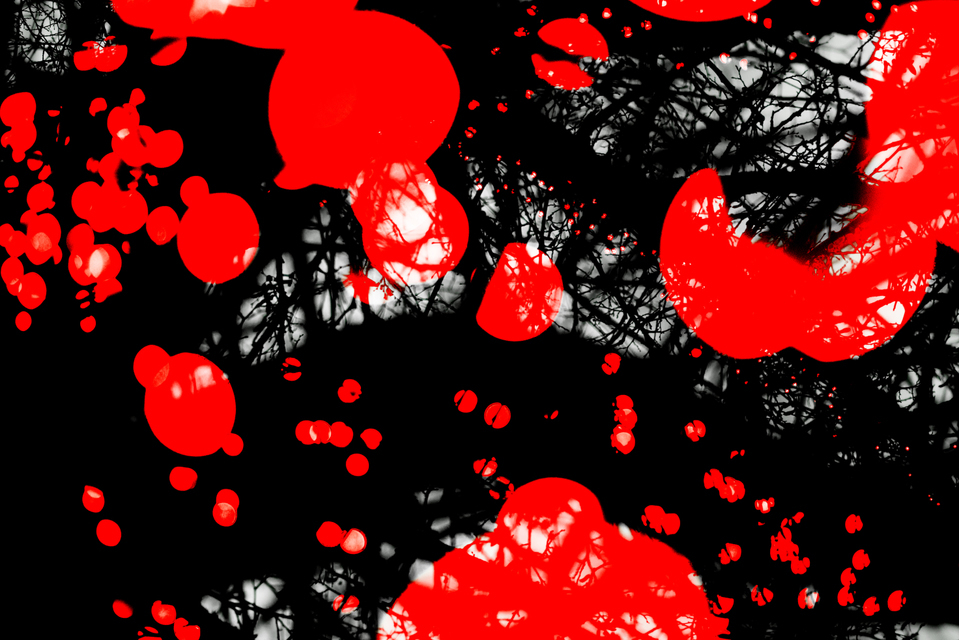 Red Lights II - ID 003978