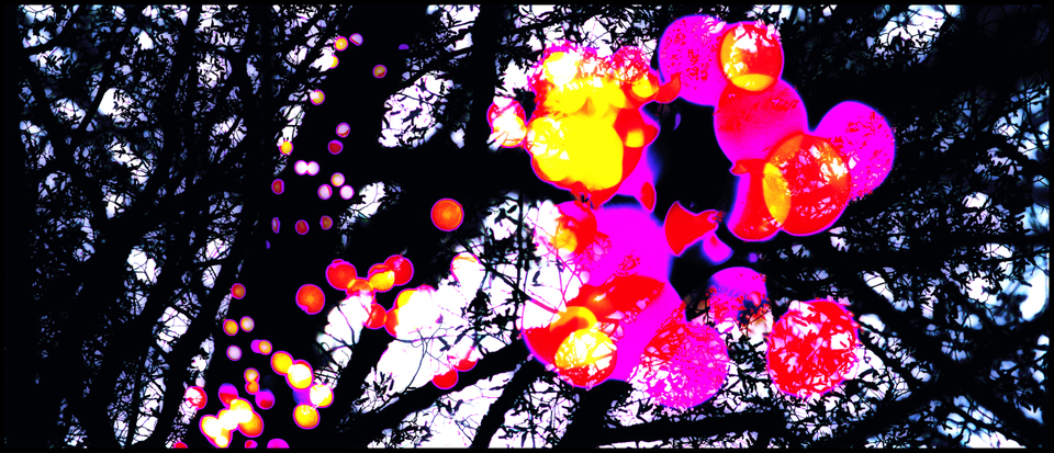 Dancing Lights - ID 003981