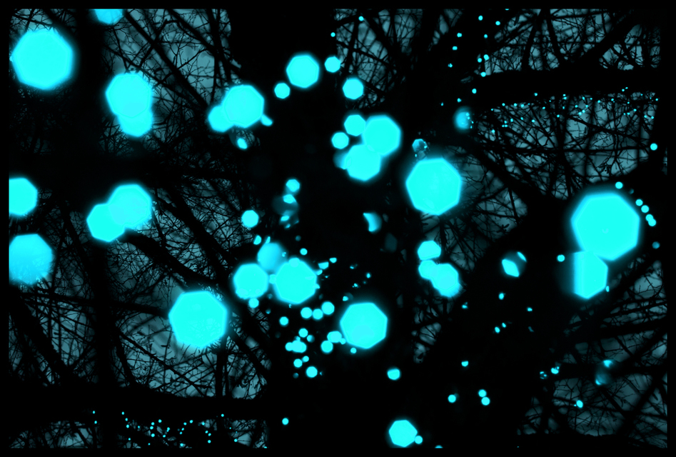 Cyan Lights - ID 003983