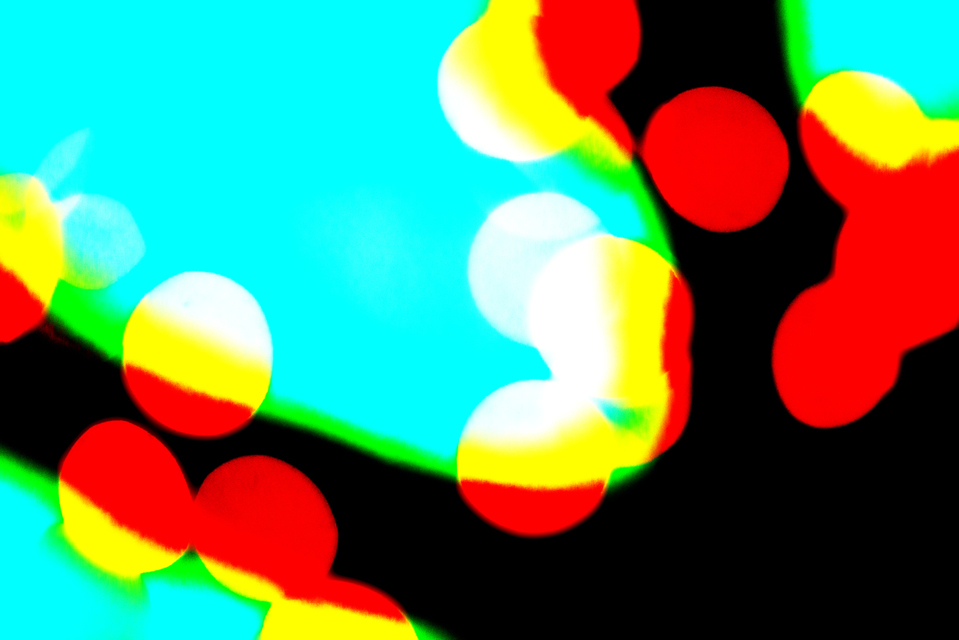 Branch Fork - ID 003993