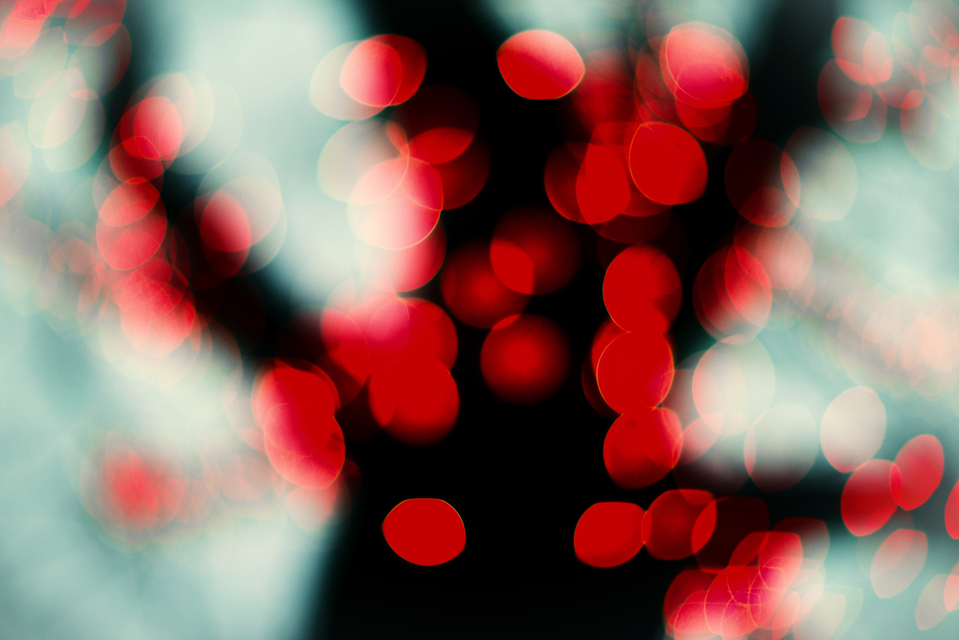 Red Light Berries I - ID 003995