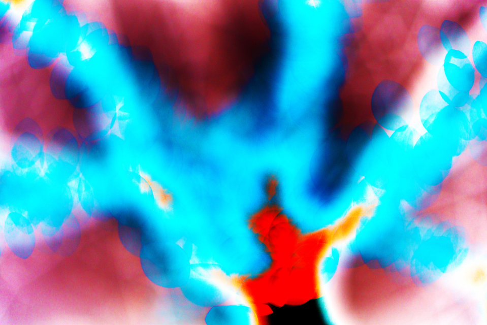 Abstracted Tree - ID 003997