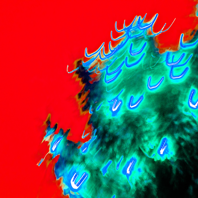 Xmas Tree Red III - ID 004024