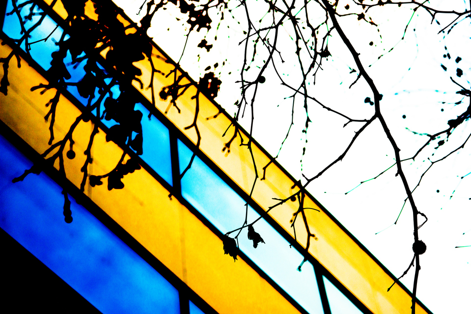 Branches on Stripes II - ID 004042