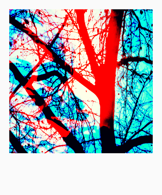 Tree with Face - ID 004043