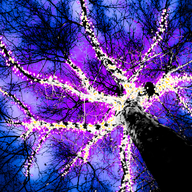 Windmill of Minds IV - ID 004047