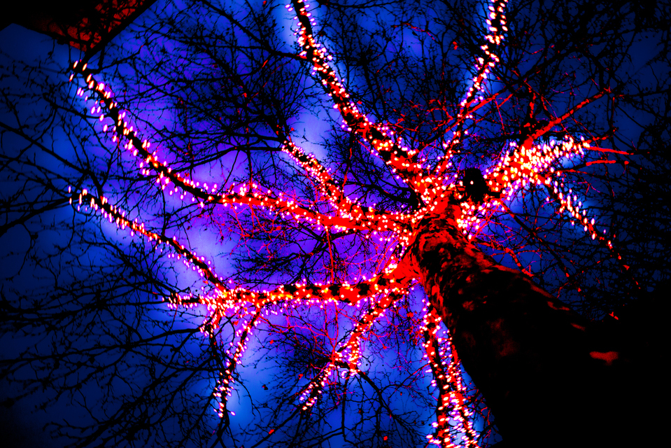 Windmill of Minds V - ID 004048