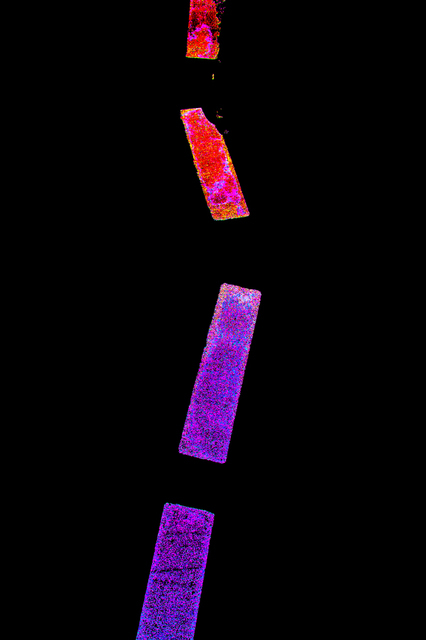 Geometry III - ID 004070