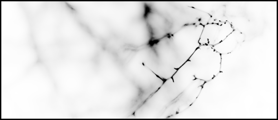 Black Branches III - ID 004108