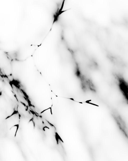 Black Branches IV - ID 004109