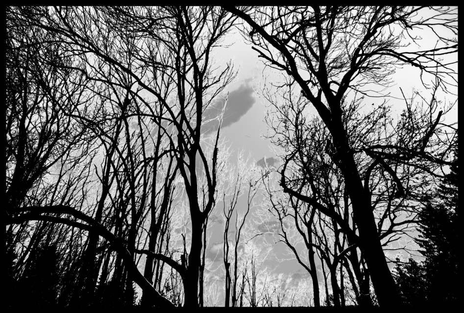 Winter Ground - ID 004208