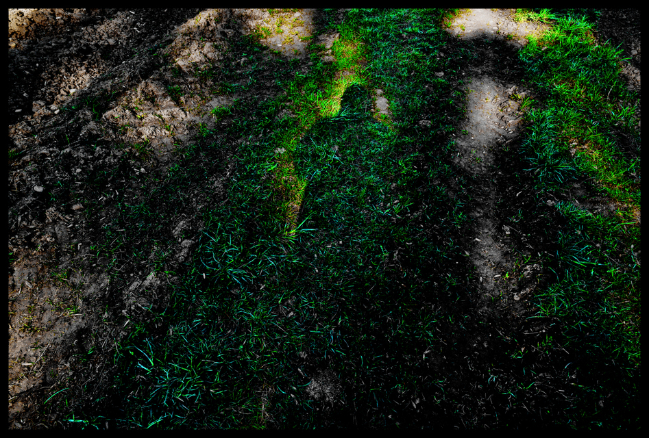 Stashed Shadow - ID 004210