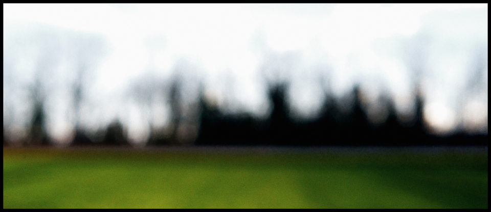 Field and Trees - ID 004222