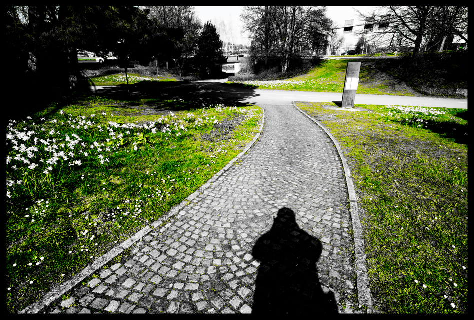 From Center - ID 004228