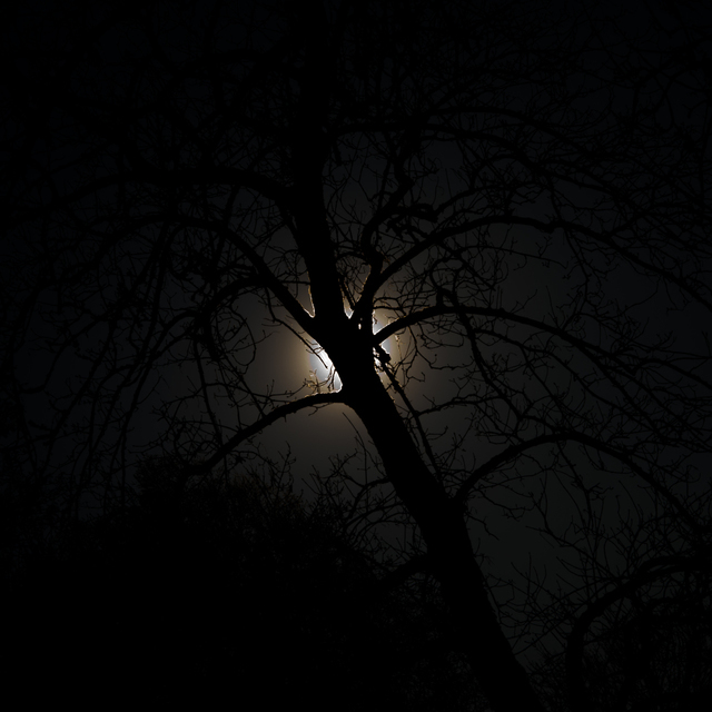 Dark Sun - ID 004233