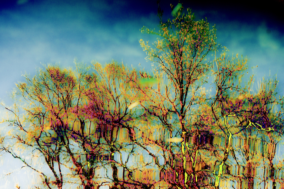 Water Mirrored II - ID 004239