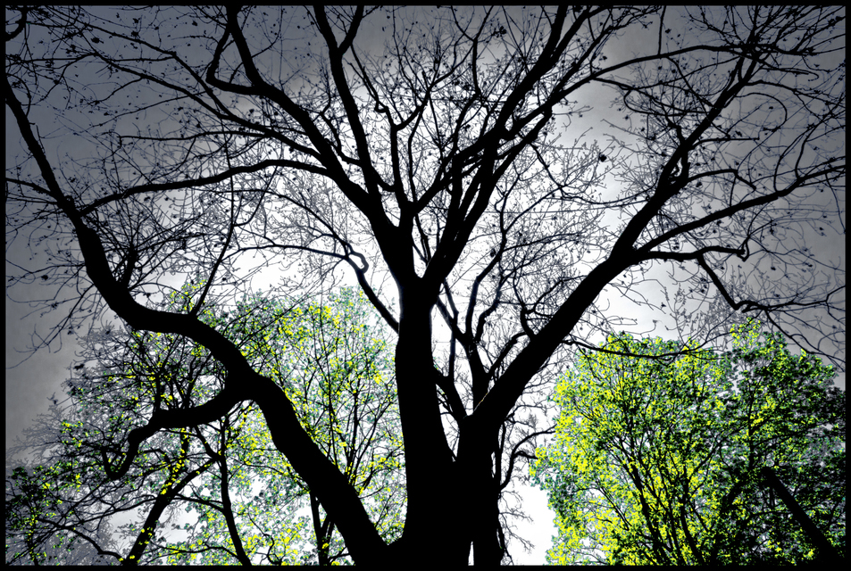 Dark Man - ID 004257