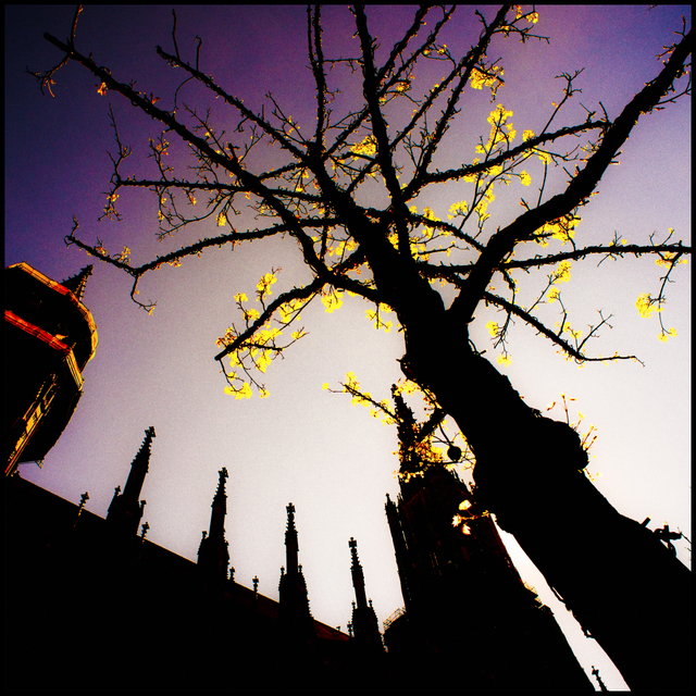 Purple Sky - ID 004285