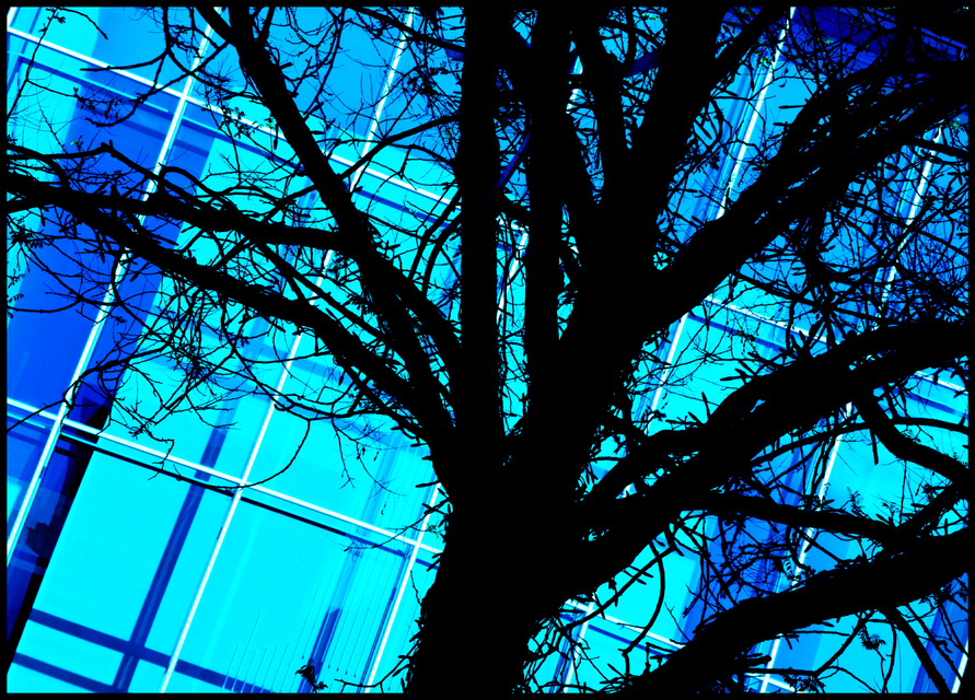 Decorated Tree - ID 004292