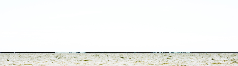 Camargue Water I - ID 004370