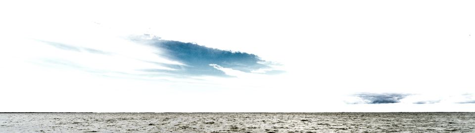 Camargue Water II - ID 004371