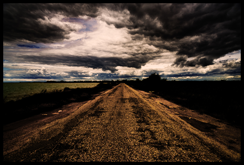 Camargue Street - ID 004372