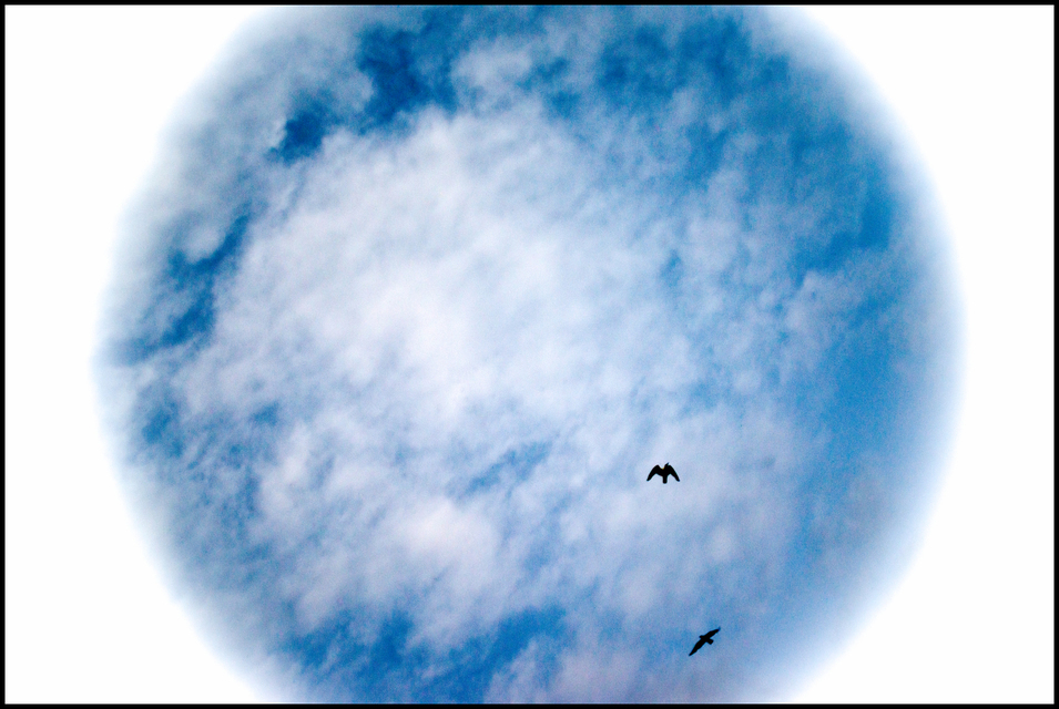 World Sailors - ID 004460