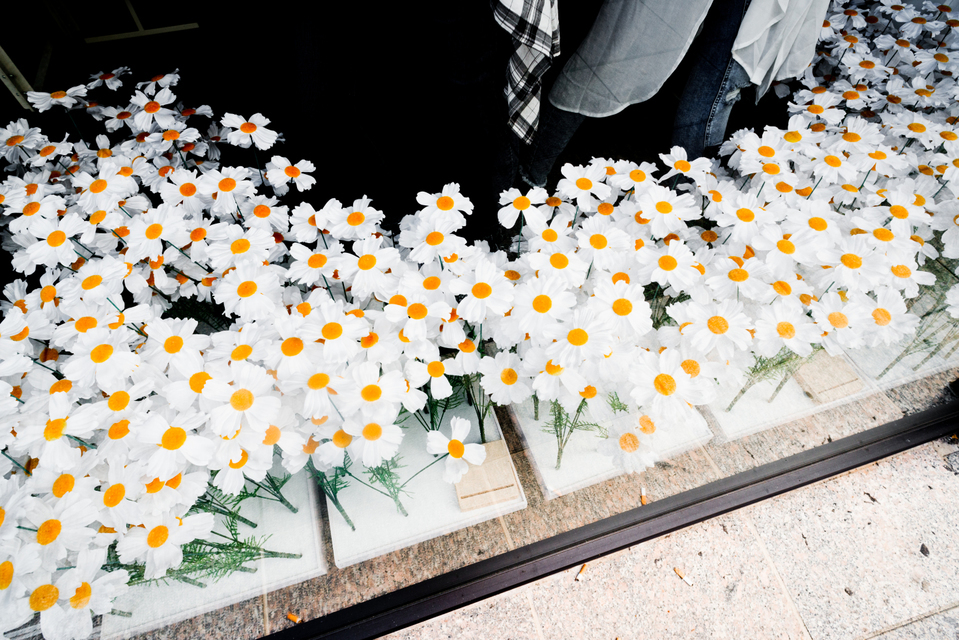 Field of Flowers I - ID 004471