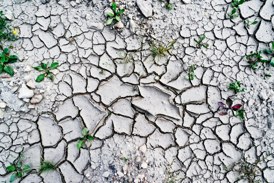 Dry Ground I - ID 004539