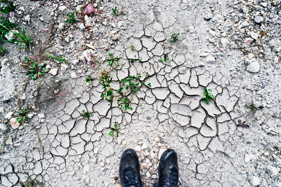 Dry Ground II - ID 004540