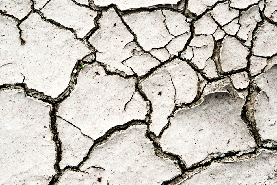 Dry Ground VI - ID 004544