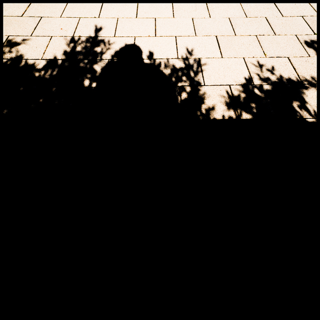 In the Shadow - ID 004612