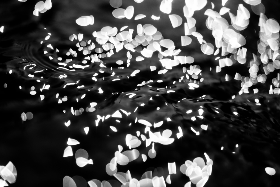 Water Play IV - ID 004619