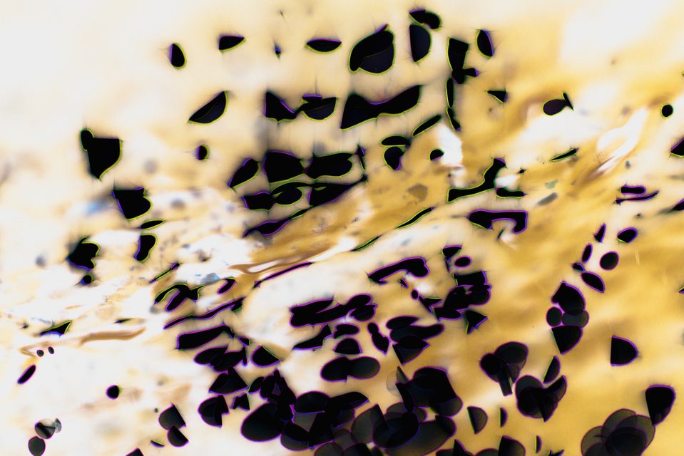 Water Play XII - ID 004627