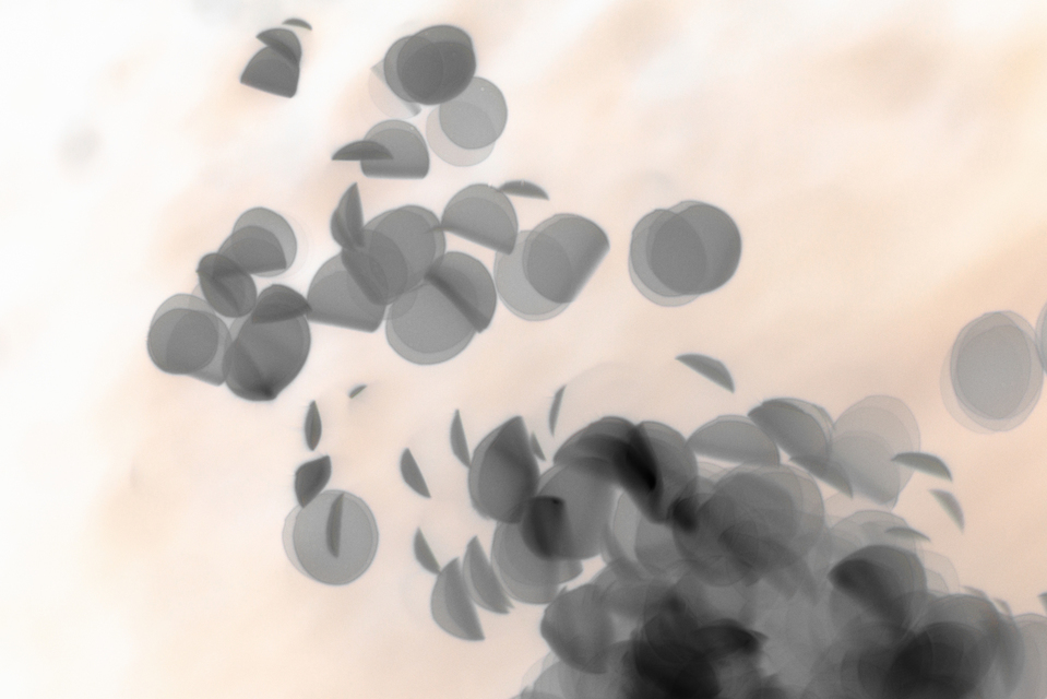 Water Play XIV - ID 004629