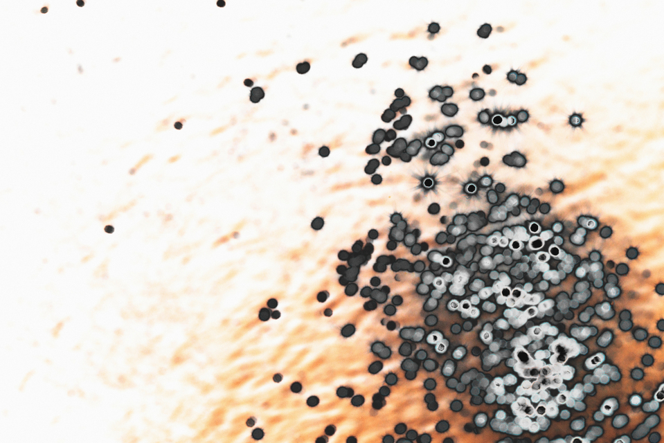 Water Play XX - ID 004635