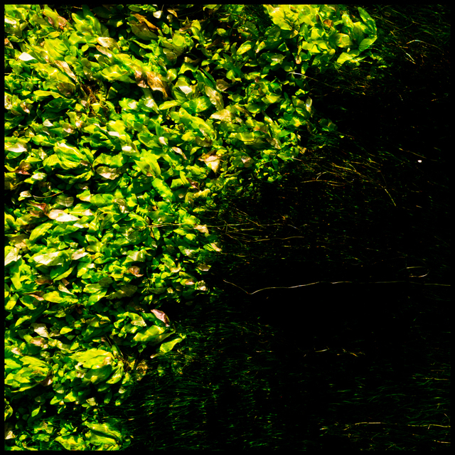 Under Water Green - ID 004643