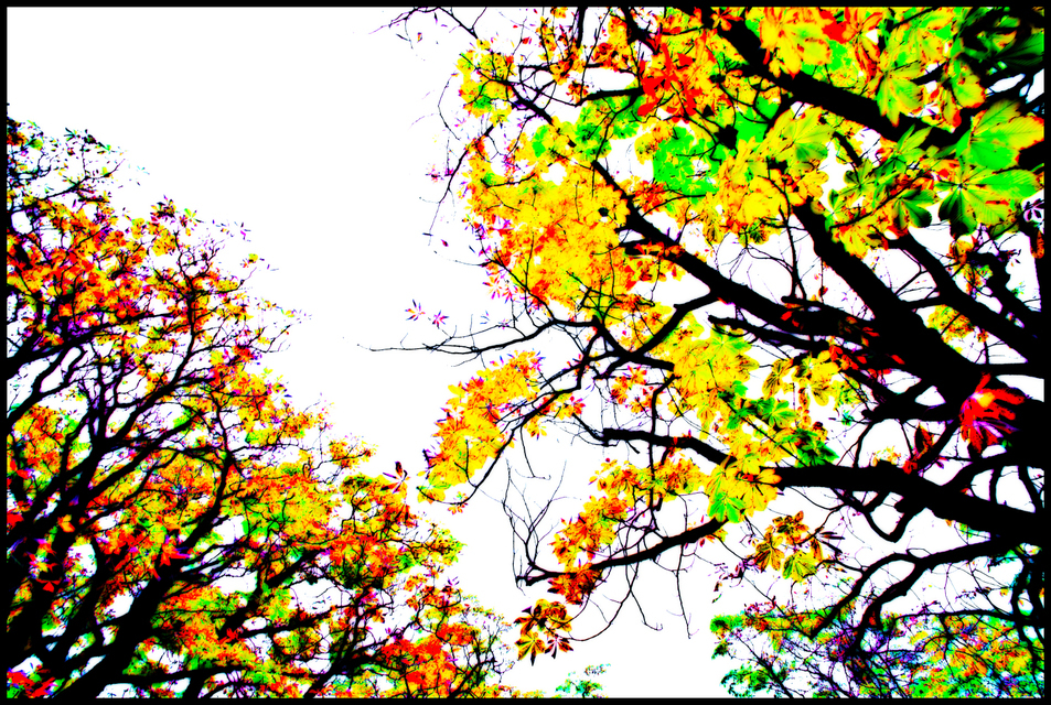 Color at Lake Zurich - ID 004711