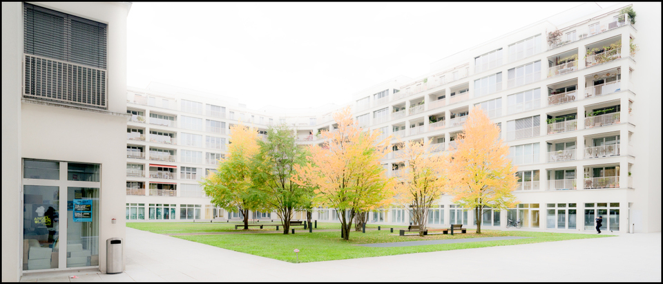 Suburb Gang I - ID 004741