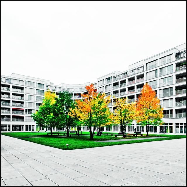 Suburb Gang II - ID 004742