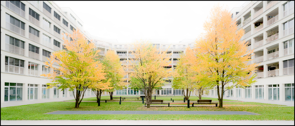 Suburb Gang III - ID 004743