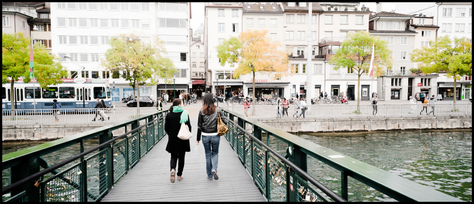 Grey Autumn Colors - ID 004770