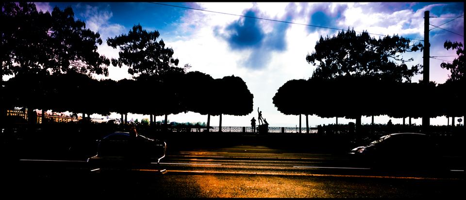 Dancing with Bird - ID 004789