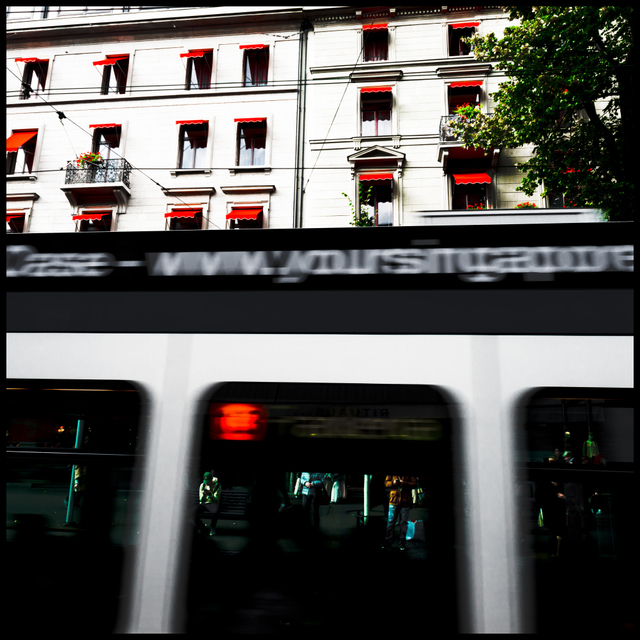 Red Brows I - ID 004793