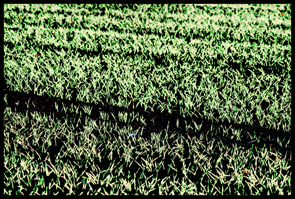 New Green on Black VI - ID 004837